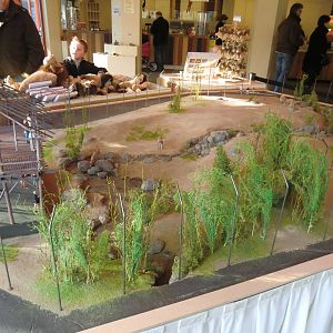 Future Lion Enclosure