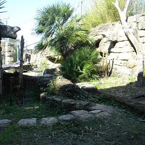 Jaguar Exhibit