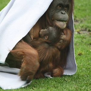 Maliku and Molly - 20 Feb 2010