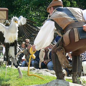 Puy-du-Fou Park - Birds of prey show