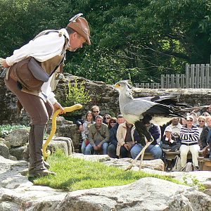 Puy-du-Fou Park - Birds of prey show