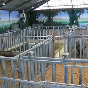 First photo of the three indian rhinos at the zoo