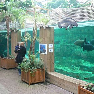 Manatees pool in the third greenhouse  of the zoo