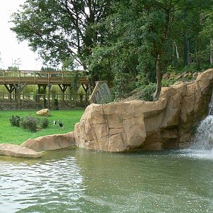 Asian plain exhibit - Malayan tapirs exhibit