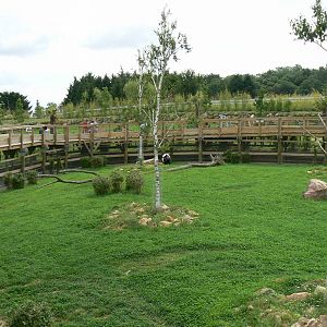 Asian plain exhibit - Malayan tapirs exhibit