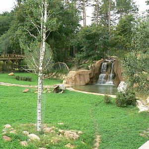 Asian plain exhibit - Malayan tapirs exhibit