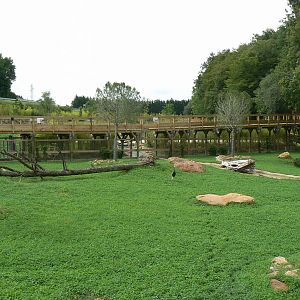 Asian plain exhibit - Malayan tapirs exhibit