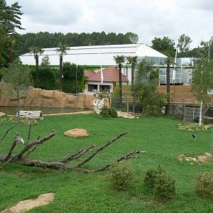 Asian plain exhibit - Malayan tapirs exhibit
