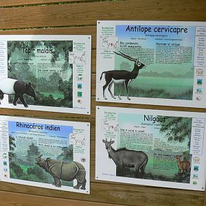 Asian plain exhibit - opened in 2010