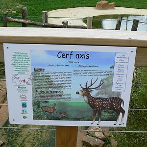 Asian plain exhibit - opened in 2010