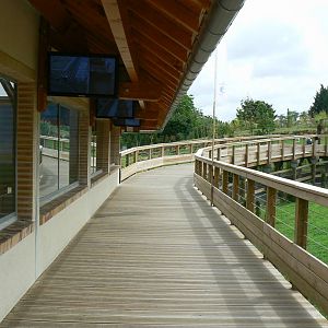 Asian plain exhibit - opened in 2010