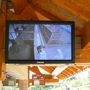 Asian plain exhibit - opened in 2010