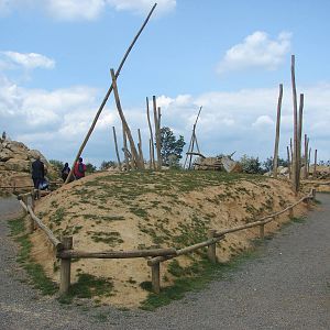 Barbary macaques walk-through exhibit