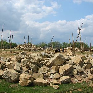 Barbary macaques walk-through exhibit