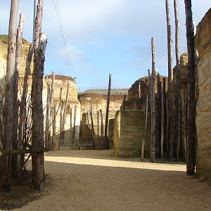 South american giant aviary
