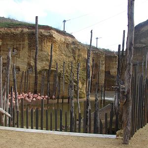South american giant aviary