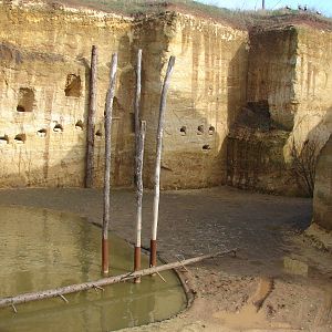 South american giant aviary