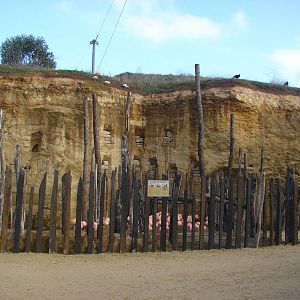 South american giant aviary