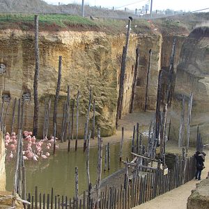 South american giant aviary