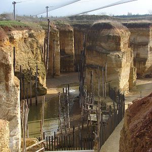 South american giant aviary