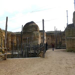 South american giant aviary