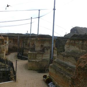 South american giant aviary