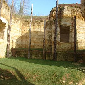 Giant anteater exhibit in the south american aviary