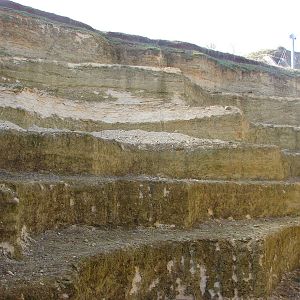 Future penguins exhibit in the south american giant aviary