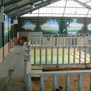 Asian plain exhibit - Tapirs and rhinos house