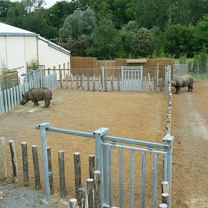 Asian plain exhibit - Indian rhinos exhibit