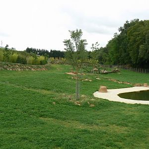 Asian plain exhibit - Second indian rhinos exhibit