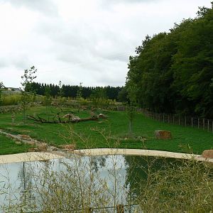 Asian plain exhibit - Second indian rhinos exhibit