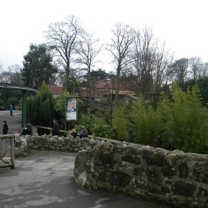 Sumatran Tiger Enclosure at Chester Zoo 19th february 2011