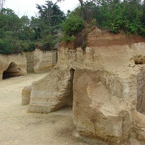 Zebras and Kordofan's giraffes exhibit