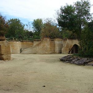 Zebras and Kordofan's giraffes exhibit