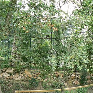 Asian plain exhibit - Fishing cats exhibit