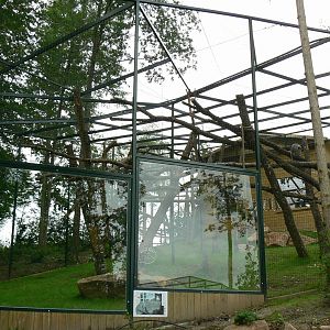 Asian plain exhibit - Grey langurs exhibit