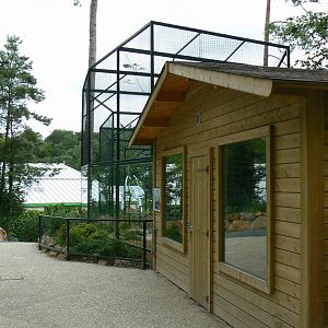 Asian plain exhibit - Fishing cats exhibit