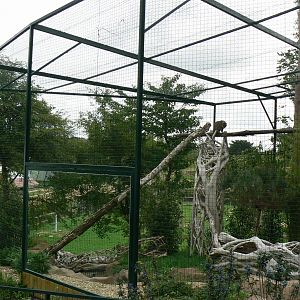 Asian plain exhibit - Fishing cats exhibit