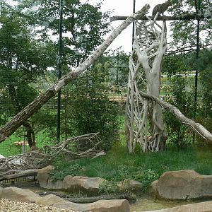 Asian plain exhibit - Fishing cats exhibit