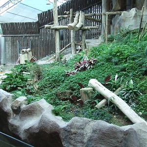 Giant Panda Indoor Exhibit Area