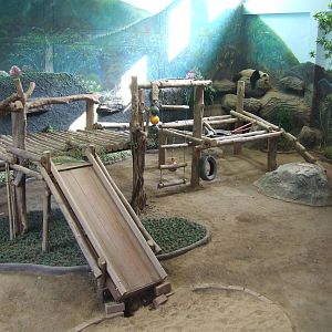 Baby Panda (Lin-Ping) Indoor Exhibit Area