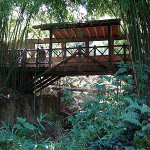 Observation boardwalk (Persian leopard exhibit)