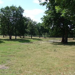 Gaurs and sambar deers exhibit