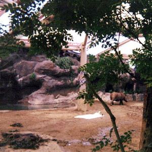 Emi ~ Wildlife Canyon