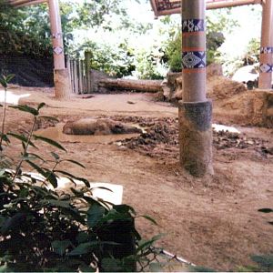 Ipuh ~ Wildlife Canyon