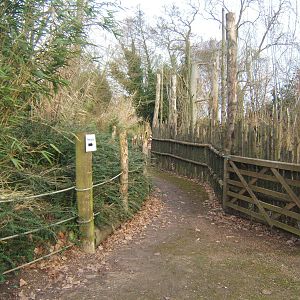 Path down to Flamingo House