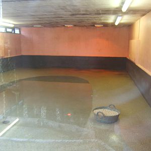 View inside Flamingo House