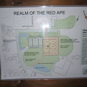 Original Plan for Realm of Red Ape