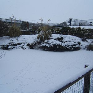 View of Blackbrook in snow